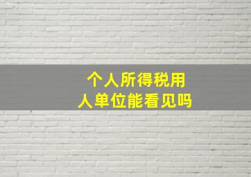 个人所得税用人单位能看见吗