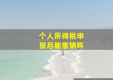 个人所得税申报后能撤销吗