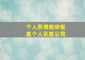 个人所得税申报是个人还是公司