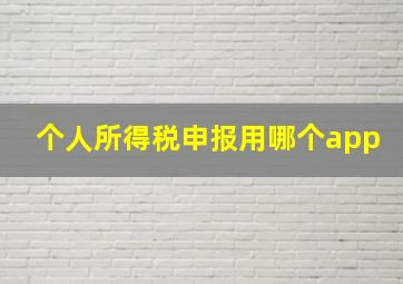 个人所得税申报用哪个app