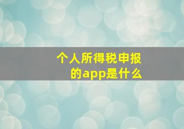 个人所得税申报的app是什么