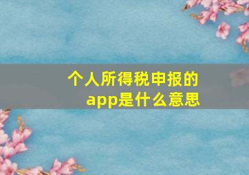 个人所得税申报的app是什么意思