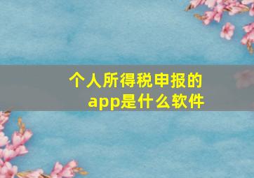 个人所得税申报的app是什么软件