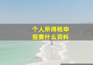 个人所得税申报要什么资料