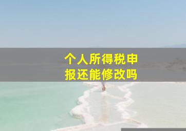 个人所得税申报还能修改吗