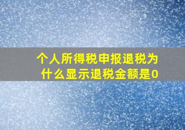 个人所得税申报退税为什么显示退税金额是0