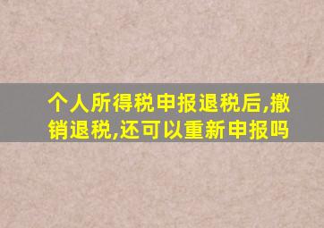 个人所得税申报退税后,撤销退税,还可以重新申报吗