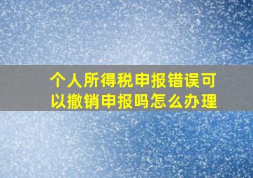 个人所得税申报错误可以撤销申报吗怎么办理