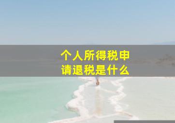 个人所得税申请退税是什么