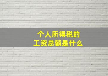 个人所得税的工资总额是什么