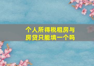 个人所得税租房与房贷只能填一个吗