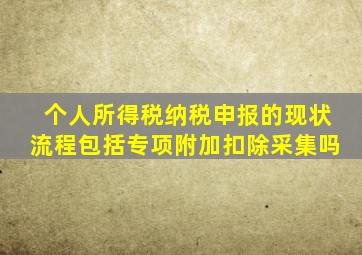 个人所得税纳税申报的现状流程包括专项附加扣除采集吗