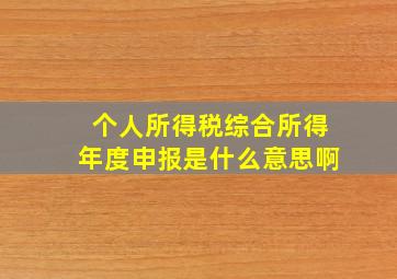 个人所得税综合所得年度申报是什么意思啊