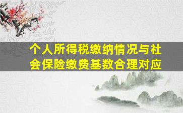 个人所得税缴纳情况与社会保险缴费基数合理对应