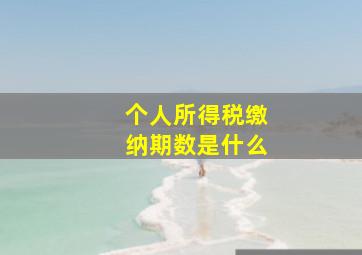 个人所得税缴纳期数是什么