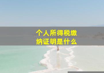 个人所得税缴纳证明是什么