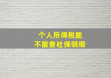 个人所得税能不能查社保明细