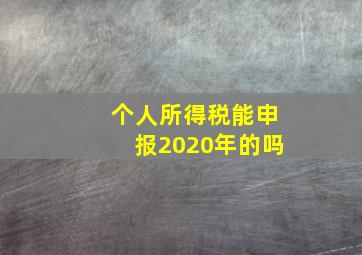 个人所得税能申报2020年的吗