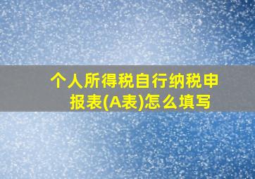 个人所得税自行纳税申报表(A表)怎么填写