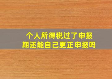 个人所得税过了申报期还能自己更正申报吗