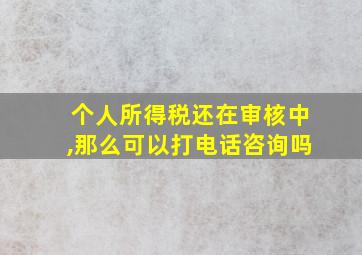 个人所得税还在审核中,那么可以打电话咨询吗