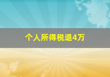 个人所得税退4万