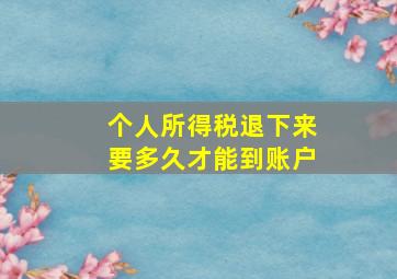 个人所得税退下来要多久才能到账户