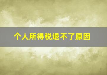 个人所得税退不了原因