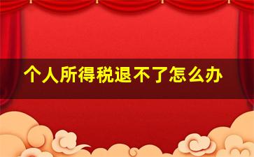 个人所得税退不了怎么办