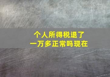 个人所得税退了一万多正常吗现在