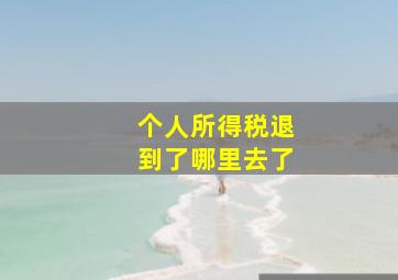 个人所得税退到了哪里去了