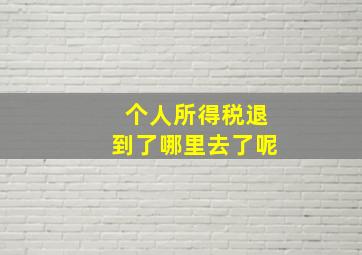 个人所得税退到了哪里去了呢