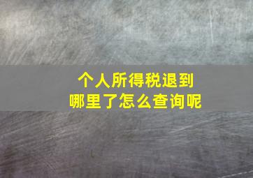 个人所得税退到哪里了怎么查询呢