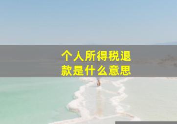 个人所得税退款是什么意思