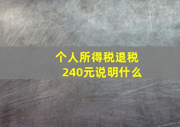 个人所得税退税240元说明什么