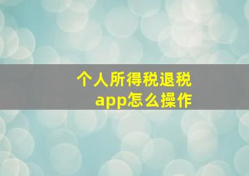 个人所得税退税app怎么操作