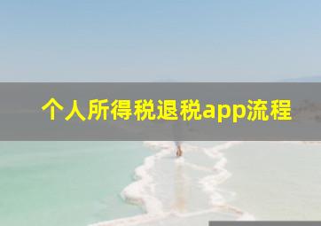 个人所得税退税app流程