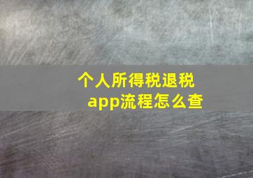 个人所得税退税app流程怎么查