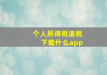 个人所得税退税下载什么app