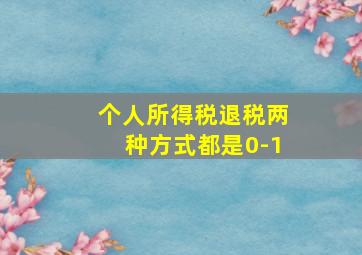 个人所得税退税两种方式都是0-1