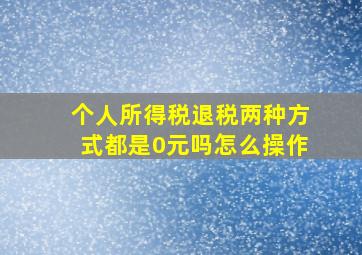 个人所得税退税两种方式都是0元吗怎么操作