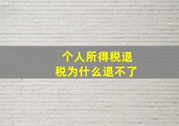 个人所得税退税为什么退不了