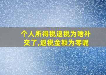 个人所得税退税为啥补交了,退税金额为零呢