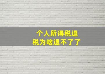 个人所得税退税为啥退不了了