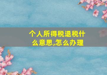 个人所得税退税什么意思,怎么办理