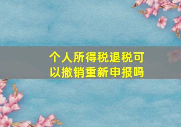 个人所得税退税可以撤销重新申报吗