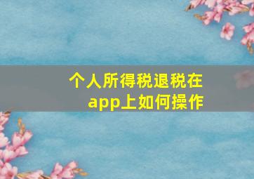 个人所得税退税在app上如何操作