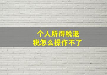 个人所得税退税怎么操作不了