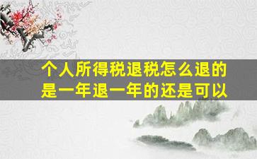 个人所得税退税怎么退的是一年退一年的还是可以