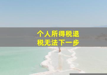 个人所得税退税无法下一步